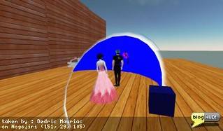 A tutorial on hiding