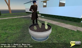 Recycling in Second Life