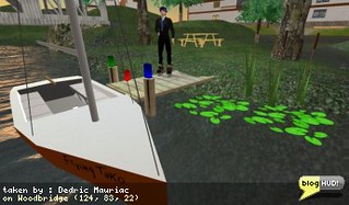 Having fun with lilypads