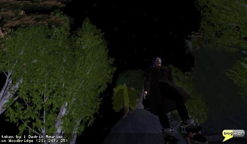 Another night in woodbridge