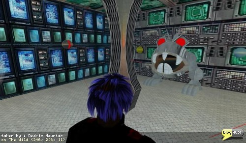 The Bizarro Labrynth