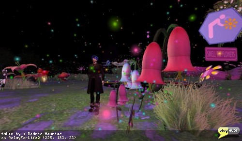 End of the SL Relay for Life 2008