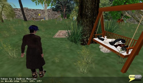 Hoping the sim goes down