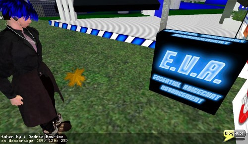 Voice Commands in Second Life