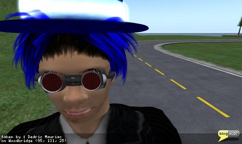 Predictions for the year 2009